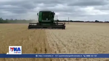 EU-Ukraine chưa nhất trí về thỏa thuận nông sản mới