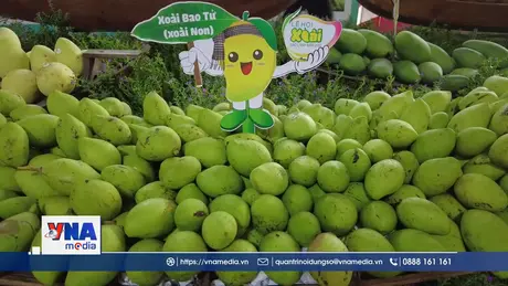 Xoài Việt Nam chiếm lĩnh thị trường Trung Quốc