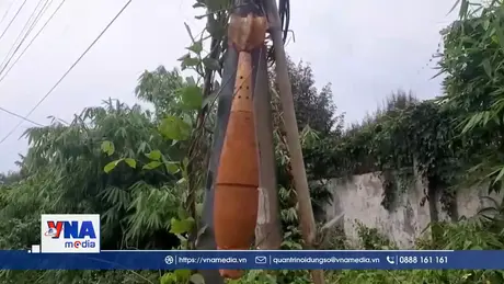  Đi thăm rẫy, phát hiện quả đạn cối treo trên cột điện