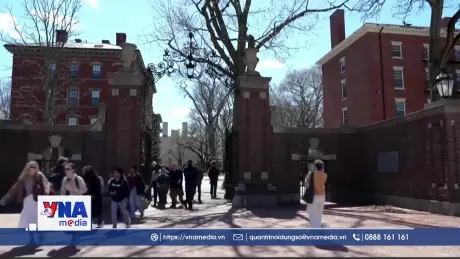 Tổng thống Mỹ bảo vệ lệnh cấm Harvard tuyển sinh viên nước ngoài
