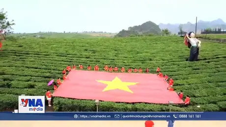  Đồi chè Mộc Châu – Điểm đến hấp dẫn du khách