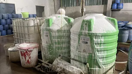 Công an tỉnh Lào Cai triệt phá 2 cơ sở dùng hóa chất độc hại làm giá đỗ