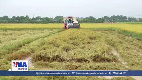 Hà Tĩnh hỗ trợ người dân 