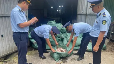 Phát hiện kho lạnh chứa gần 8 tấn chân gà không rõ nguồn gốc