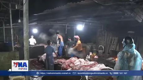 Hà Nam phát hiện gần 3 tấn thịt lợn nhiễm virus dịch tả lợn châu Phi