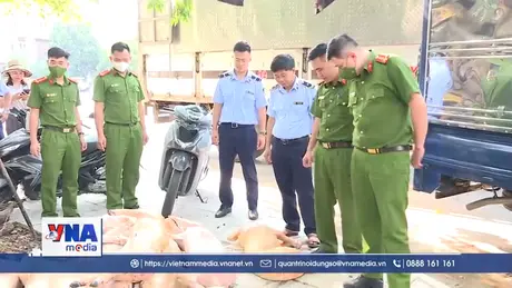 Mở đợt cao điểm chống buôn lậu, gian lận thương mại và hàng giả