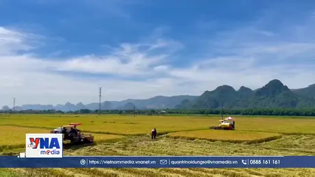 Nông dân Quảng Bình thắng lợi kép vụ Đông – Xuân