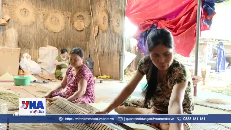 Giữ gìn di sản văn hóa phi vật thể Nghề cói Kim Sơn