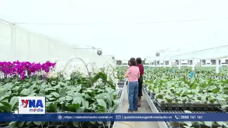 Hòa Bình phát triển nông nghiệp ứng dụng công nghệ cao