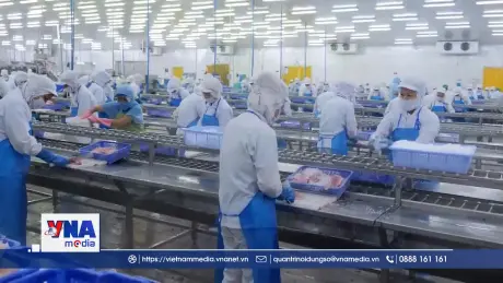 Ngành thủy sản Việt Nam và Ấn Độ tìm hướng hợp tác