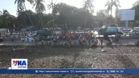 Vũng Tàu huy động hàng trăm tình nguyện viên thu gom rác đại dương