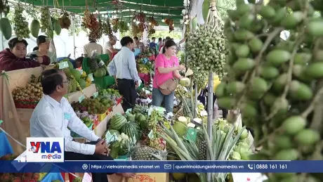 Rộn ràng ngày hội nước xứ Cù Lao
