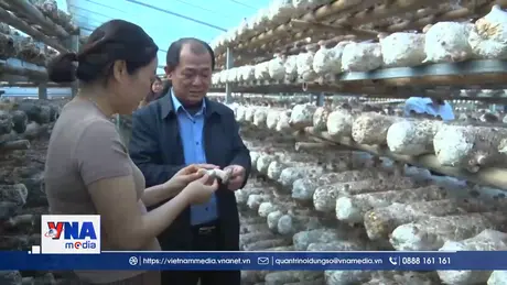 Động lực thúc đẩy kinh tế, xã hội phát triển bền vững