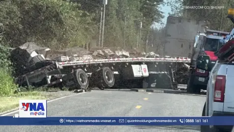 250 triệu con ong vỡ tổ do tai nạn xe tải ở Mỹ