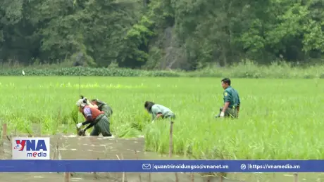 Độc đáo bức tranh 