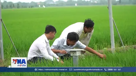 “Làng thông minh” ở Đồng Tháp