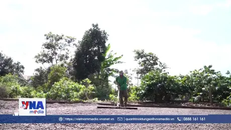 Hy vọng mới ở buôn làng Tây Nguyên