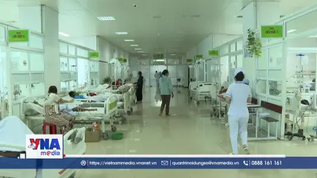 Đắk Lắk báo động ngộ độc nấm đầu mùa mưa