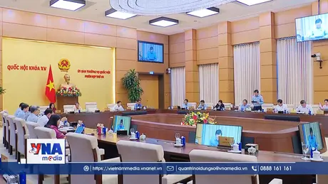Không áp dụng thuế suất ưu đãi với công ty con 