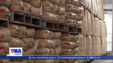 Nỗ lực giải quyết khủng hoảng giá gạo tại Nhật Bản