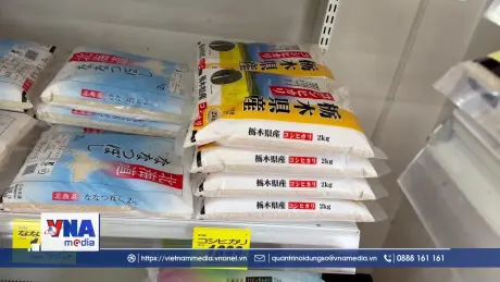 Chuỗi cửa hàng tiện lợi Nhật Bản bắt đầu bán gạo dự trữ của chính phủ