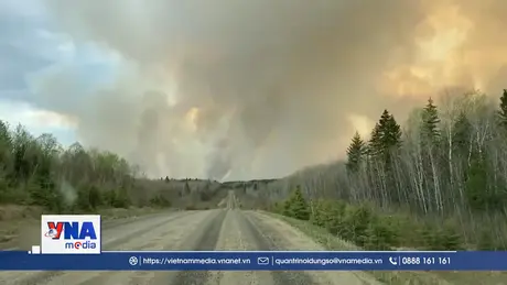 Mỹ và châu Âu bị ảnh hưởng tiêu cực do cháy rừng tại Canada