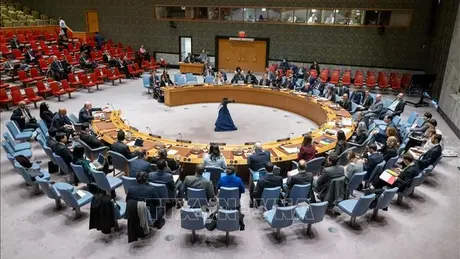 Mỹ phủ quyết nghị quyết HĐBA LHQ kêu gọi ngừng bắn dài hạn ở Gaza
