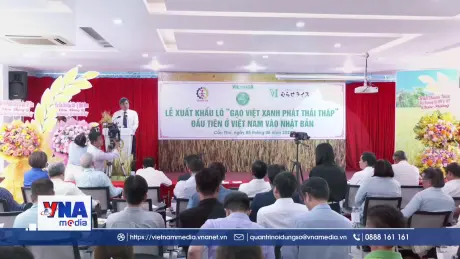 Lô gạo phát thải thấp đầu tiên xuất ngoại