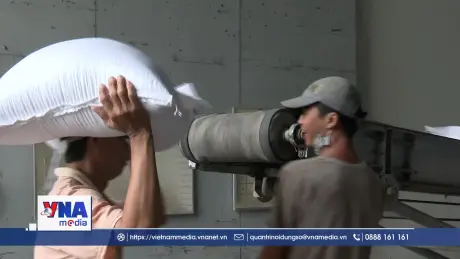 Long An hỗ trợ doanh nghiệp xuất khẩu gạo