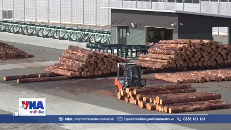 Từ thị trấn bị lãng quên đến công trình gỗ lớn nhất thế giới