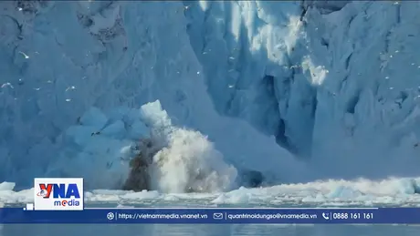 LHQ kêu gọi bảo vệ môi trường thế giới     