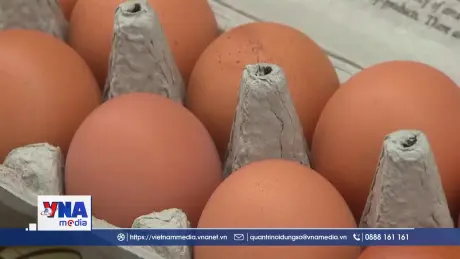 Hàng chục ca nhiễm khuẩn Salmonella liên quan trứng bị thu hồi ở Mỹ