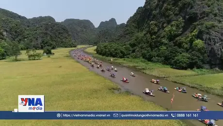 Sức hấp hẫn của mùa thu hoạch lúa ở Tam Cốc