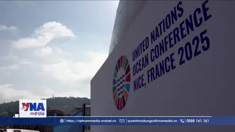 Tiêu điểm quốc tế: Thế giới chung tay bảo vệ đại dương xanh