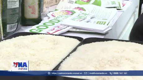 Cần tận dụng thời cơ để tăng thị phần xuất khẩu gạo vào Canada