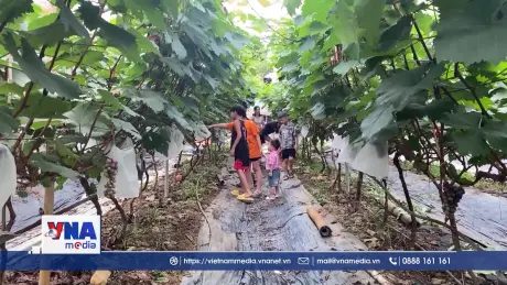 Điện Biên phát triển mô hình du lịch xanh