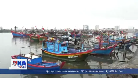 Bộ đội Biên phòng Quảng Bình kêu gọi tàu thuyền tránh trú bão số 1