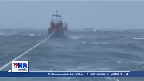 Bộ Tư lệnh Vùng Cảnh sát biển 2 liên tiếp cứu nạn 3 tàu cá