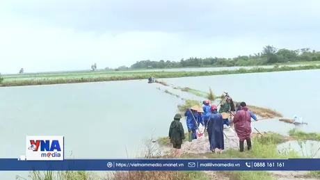 Bão số 1 gây nhiều thiệt hại tại Quảng Trị