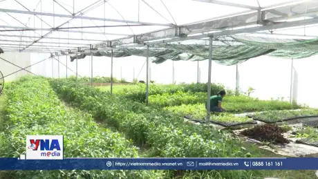 Hòa Bình đẩy mạnh phát triển sản xuất nông nghiệp sạch