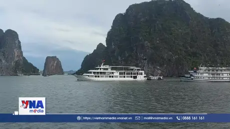 Quảng Ninh hạn chế hoạt động đường thủy do ảnh hưởng bão số 1
