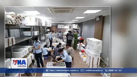 Bắt giữ lượng lớn sữa, thực phẩm chức năng, mỹ phẩm nhập lậu tại Hà Nội