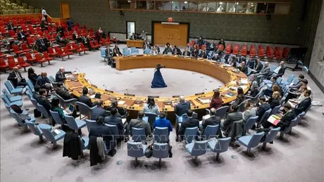 Hội đồng Bảo an Liên hợp quốc họp khẩn về xung đột Iran - Israel