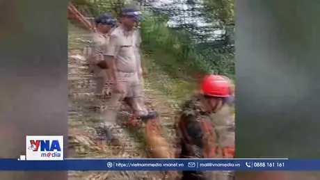 Tai nạn trực thăng khiến 7 người thiệt mạng tại Ấn Độ