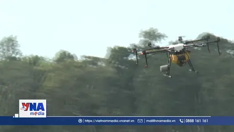Tai nạn do drone đâm phải, một người đi đường bị thương nặng