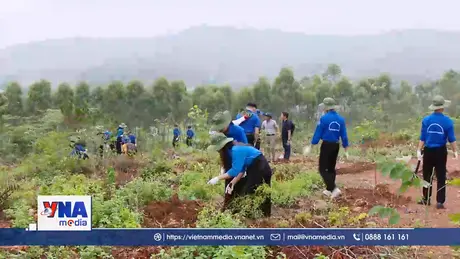 Suy thoái đất đang ở mức báo động