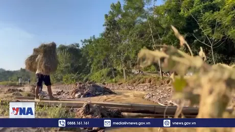 Tạo sinh kế bền vững cho người dân làng Nủ