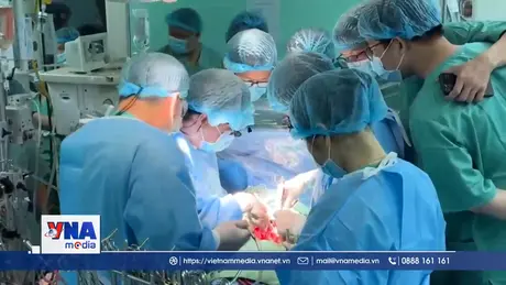 Kỳ tích ghép tạng tại Huế
