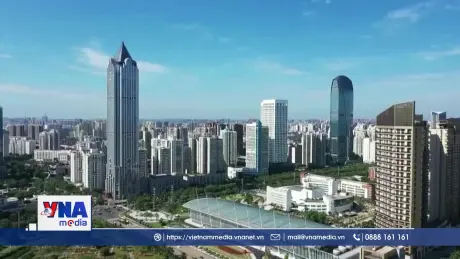 Mỹ chiếm gần 40% tổng số triệu phú toàn cầu năm 2024