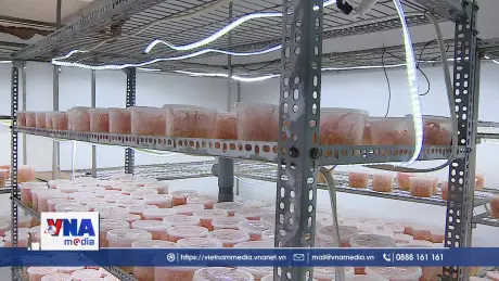 Đề xuất cơ chế, chính sách hỗ trợ pháp lý cho hợp tác xã